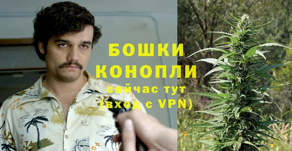 молекула духа Балабаново