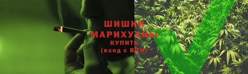 Каннабис SATIVA & INDICA  Горняк 